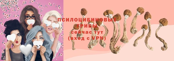 jwh Алзамай