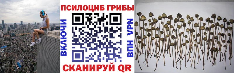 Галлюциногенные грибы мухоморы  площадка какой сайт  Пролетарск 